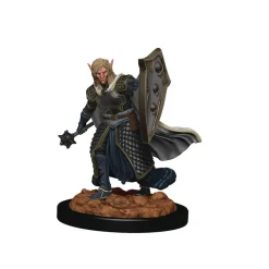 WizKids Karakterer^Elf Male Cleric (Wave 2) Icons of the Realms Premium Painted Miniatures Figur