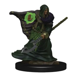 WizKids Elf Male Druid (Wave 5) Icons of the Realms Premium Painted Miniatures Figur* Karakterer
