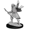 WizKids Karakterer^Elf Male Sorcerer (Wave 14) Pathfinder Deep Cuts Unpainted Miniature Figur