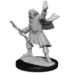 WizKids Karakterer^Elf Male Sorcerer (Wave 14) Pathfinder Deep Cuts Unpainted Miniature Figur