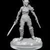 WizKids Elf Rogue & Half-Elf Rogue Protege (Wave 19) Dungeons & Dragons Nolzurs Marvelous Unpainted Miniature* Karakterer