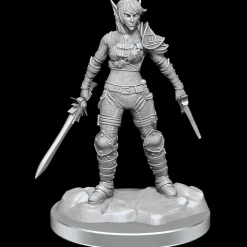 WizKids Elf Rogue & Half-Elf Rogue Protege (Wave 19) Dungeons & Dragons Nolzurs Marvelous Unpainted Miniature* Karakterer