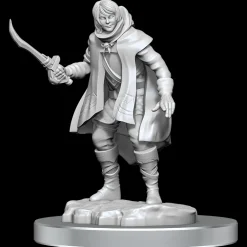 WizKids Elf Rogue & Half-Elf Rogue Protege (Wave 19) Dungeons & Dragons Nolzurs Marvelous Unpainted Miniature* Karakterer