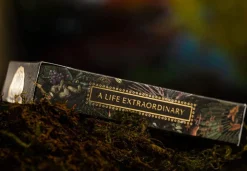 Theory11 Deluxe Playing Cards Extinct Animals Deluxe Kortstokk* Kortstokk