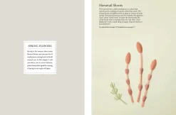 Yamamoto Håndarbeid^Fabulous Paper Flowers: Make 43 Beautiful Asian Flowers - From Irises to Cherry Blossoms to Peonies (with 270 Tracing Templates)