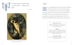 Dominic Connolly Fairies: A celebration of pixies, sprites, mermaids and brownies* Teknikk & Vitenskap|Kropp, Sinn, & Sjel