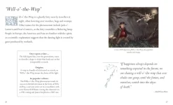 Dominic Connolly Fairies: A celebration of pixies, sprites, mermaids and brownies* Teknikk & Vitenskap|Kropp, Sinn, & Sjel