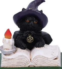 Familiar's Spell Figurine 8,5 cm* Samleobjekter