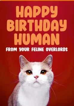 Kort, Bursdag & Anledning^Feline overlords Card