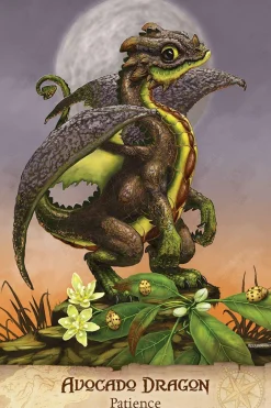 Arwen Lynch Kropp, Sinn, & Sjel^Field Guide To Garden Dragons