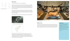 Steve Huston Tegnebøker^Figure Drawing for Artists: Making Every Mark Count: Volume 1