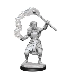 WizKids Karakterer^Firbolg Female Druid (Wave 13) Dungeons & Dragons Nolzurs Marvelous Unpainted Miniature Figur