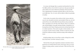 Maisy Hatchard Five Rings (Pocket Edition)* Filosofi & Livsstil