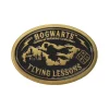 Buttons^Flying Lessons Pin Badge