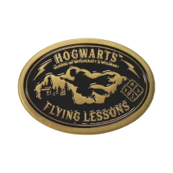 Buttons^Flying Lessons Pin Badge
