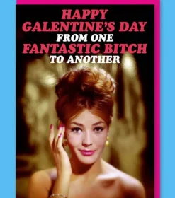 Kort, Bursdag & Anledning^From One Fantastic Bitch to Another Card