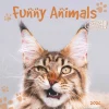 Funny Animals* Kalendere