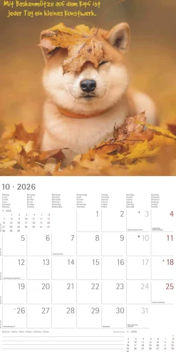 Funny Animals* Kalendere