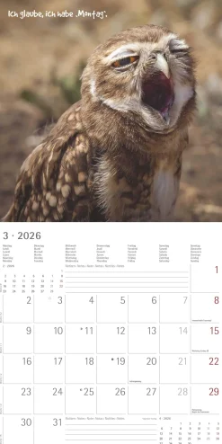 Funny Animals* Kalendere