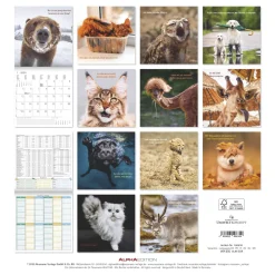 Funny Animals* Kalendere