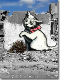 Kort, Bursdag & Anledning^Gaza Kitten, Doble kort 120x170mm