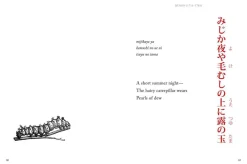 Hart Larrabee Haiku* Historie