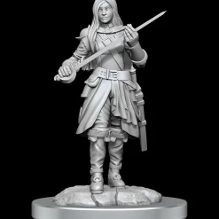 WizKids Half-Elf Female Rogue (Wave 17) Dungeons & Dragons Nolzurs Marvelous Unpainted Miniature Figur* Karakterer