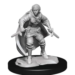 WizKids Half-Elf Female Rogue (Wave 14) Dungeons & Dragons Nolzurs Marvelous Unpainted Miniature Figur* Karakterer