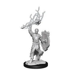 WizKids Half-Elf Male Paladin (Wave 14) Dungeons & Dragons Nolzurs Marvelous Unpainted Miniature Figur* Karakterer
