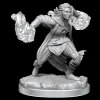 WizKids Half-Elf Warlock (Wave 20) Dungeons & Dragons Nolzurs Marvelous Unpainted Miniature* Karakterer