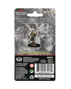 WizKids Halfling Male Fighter (Wave 6) Icons of the Realms Premium Painted Miniatures Figur* Karakterer