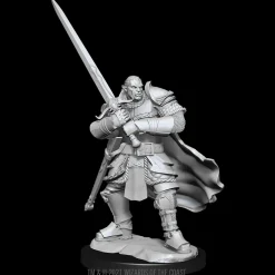 WizKids Karakterer^Half-Orc Male Paladin (Wave 15) Dungeons & Dragons Nolzurs Marvelous Unpainted Miniature Figur