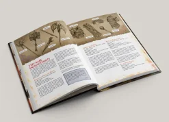 Cubicle 7 Regelbøker^Hammer And Anvil HC