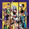 Jimmy Palmiotti Harley Quinn^Harley Quinn And Her Gang Of Harleys