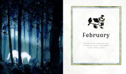 J. K. Rowling Harry Potter - A Magical Year: The Illustrations of Jim Kay* J. K. Rowling