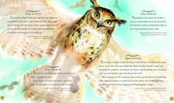 J. K. Rowling Harry Potter - A Magical Year: The Illustrations of Jim Kay* J. K. Rowling