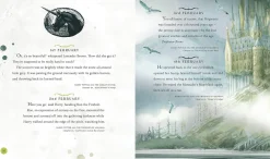 J. K. Rowling Harry Potter - A Magical Year: The Illustrations of Jim Kay* J. K. Rowling