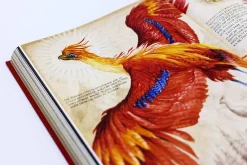 J. K. Rowling Harry Potter and the Chamber of Secrets: Deluxe Illustrated Slipcase Edition* J. K. Rowling