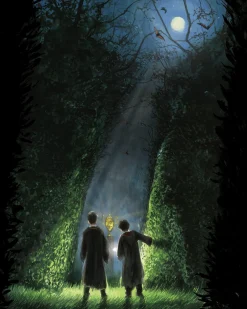 J. K. Rowling J. K. Rowling^Harry Potter and the Goblet of Fire: Illustrated Edition