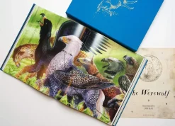 J. K. Rowling Harry Potter and the Prisoner of Azkaban: Deluxe Illustrated Slipcase Edition* J. K. Rowling