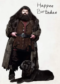 Insight Editions Kort, Bursdag & Anledning^Harry Potter: Hagrid's Cake Pop-Up Card
