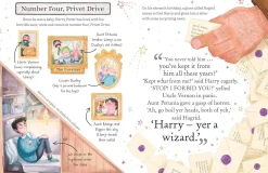 J. K. Rowling Harry Potter: The must-have Christmas stocking filler for Potter fans!* J. K. Rowling