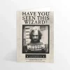 Kort, Bursdag & Anledning^Have You Seen This Wizard Lenticular Greeting Card