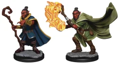 WizKids Karakterer^Hobgoblin Female Wizard and Druid (Wave 1) Critical Role Unpainted Miniatures Figur