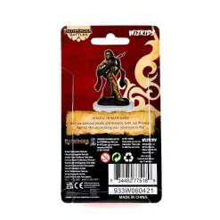 WizKids Human Female Bard Pathfinder Battles Premium Painted Figure Figur* Karakterer