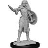 WizKids Karakterer^Human Female Champion (Wave 14) Pathfinder Deep Cuts Unpainted Miniature Figur