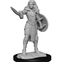 WizKids Karakterer^Human Female Champion (Wave 14) Pathfinder Deep Cuts Unpainted Miniature Figur
