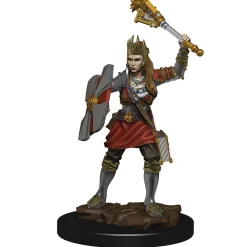 WizKids Human Female Cleric (Wave 6) Icons of the Realms Premium Painted Miniatures Figur* Karakterer
