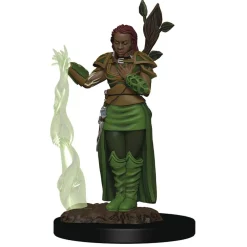 WizKids Karakterer^Human Female Druid (Wave 2) Icons of the Realms Premium Painted Miniatures Figur