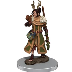 WizKids Human Female Druid (Wave 7) Icons of the Realms Premium Painted Miniatures Figur* Karakterer